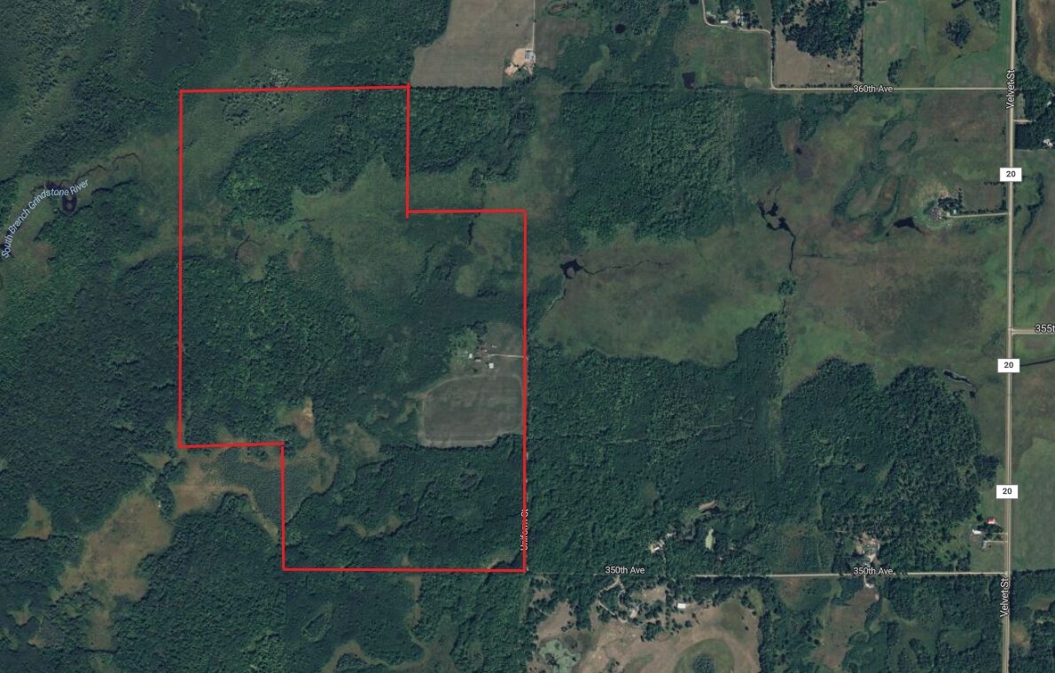 Property boundary lines